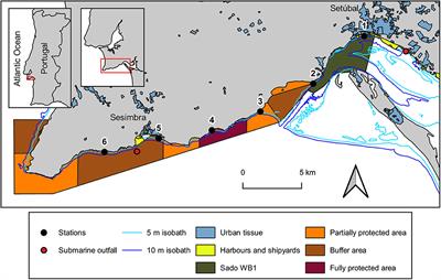 Distribution Patterns of Microplastics in Seawater Surface at a Portuguese Estuary and Marine Park